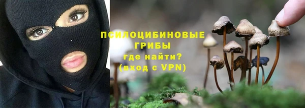 крисы Инта