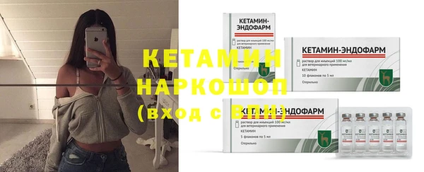 крисы Инта