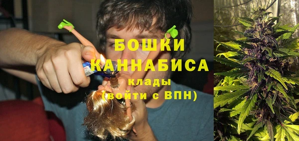 крисы Инта