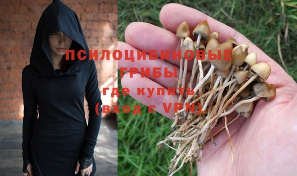 соль ск Иннополис