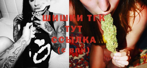 крисы Инта