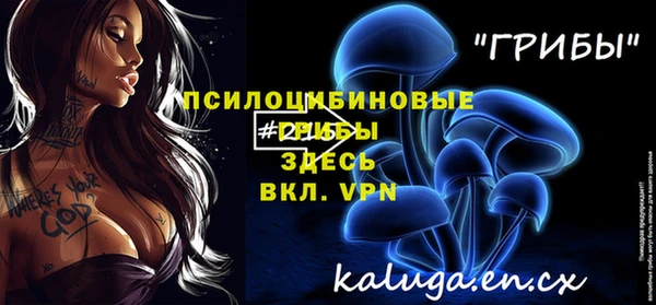 тгк Нижний Тагил