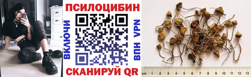 Псилоцибиновые грибы Cubensis  Купить где  Саров 