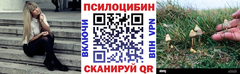 Псилоцибиновые грибы MAGIC MUSHROOMS Саров